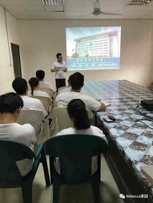 传承匠心，智创未来 尼日利亚工厂在转型中创新发展的主题教育实践