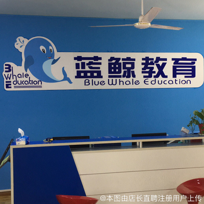 合肥市蓝鲸教育咨询服务 专业化教育咨询的领航者